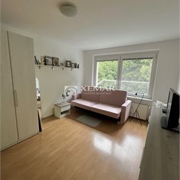 PREDAJ 1 izbový byt Slovenská Ľupča, okres Banská Bystrica