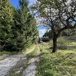 PREDAJ Stavebný pozemok KRÁLIKY, okres Banská Bystrica