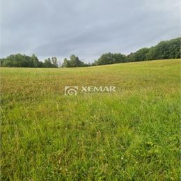 Predaj rodinný dom v obci Pliešovce