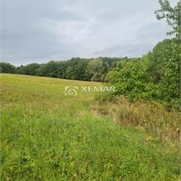 Predaj rodinný dom v obci Pliešovce