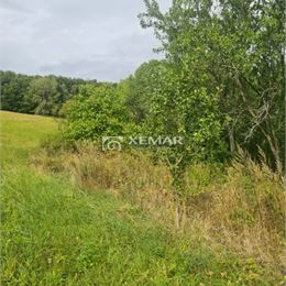 Predaj rodinný dom v obci Pliešovce