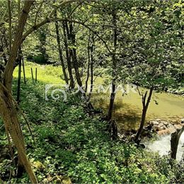 Predaj: Jedinečná samota pri potoku v srdci Liptova