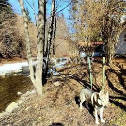 Predaj: Jedinečná samota pri potoku v srdci Liptova