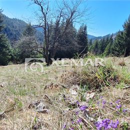 Predaj pozemku Donovaly