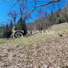 Predaj pozemku Donovaly