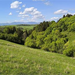 Pozemok na predaj - Dulice - okres Martin