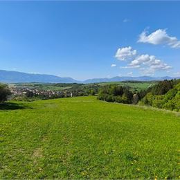 Pozemok na predaj - Dulice - okres Martin