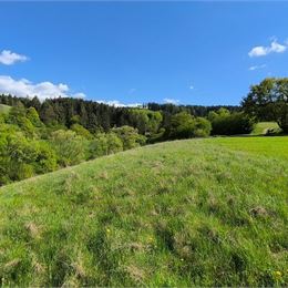 Pozemok na predaj - Dulice - okres Martin