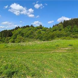 Pozemok na predaj - Dulice - okres Martin