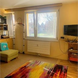 1-izbový byt Martin Ľadoveň