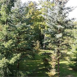 GARSÓNKA za 260€ – Necpaly (pri Martine)