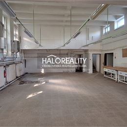 Predaj, polyfunkcia/obchodné priestory Čakajovce, dohoda možná - EXKLUZÍVNE HALO REALITY + VIDEOOBHLIADKA