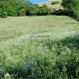 Predaj, rodinný dom s pozemkom 4932 m² Lontov - EXKLUZÍVNE HALO REALITY