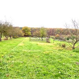 Predaj, rodinný dom Svinná - EXKLUZÍVNE HALO REALITY