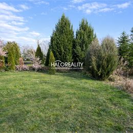 Predaj, rodinný dom Topoľnica, domček s moderným krbom a jazierkom