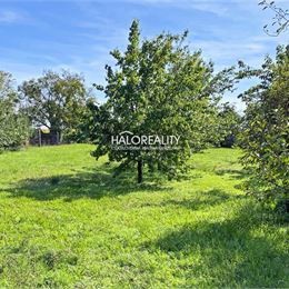 Predaj, rodinný dom Radava, penzión, ubytovňa