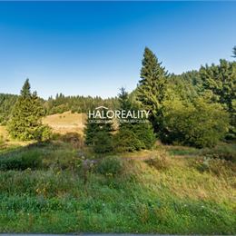 Predaj, rekreačný pozemok Nižná Boca, so stavebným povolením - EXKLUZÍVNE HALO REALITY