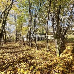 Predaj, rodinný dom Stará Turá, Papraď