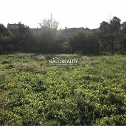 Predaj, pozemok pre rodinný dom 660 m² Budmerice, s právoplatným úz. rozhodnutím - EXKLUZÍVNE HALO REALITY