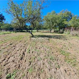 Predaj, rodinný dom Ladzany, s veľkým pozemkom 2 459 m² - ZNÍŽENÁ CENA - EXKLUZÍVNE HALO REALITY