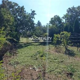 Predaj, rodinný dom Veľké Ripňany - ZNÍŽENÁ CENA