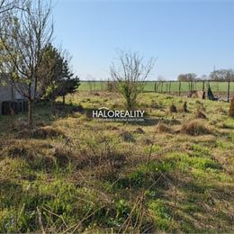 Predaj, rodinný dom Siladice