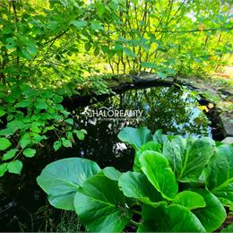 Predaj, záhradná chata Žilina, Budatin