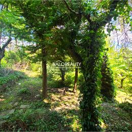 Predaj, záhradná chata Žilina, Budatin