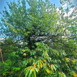 Predaj, záhradná chata Žilina, Budatin