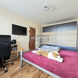 Predaj, jednoizbový byt Veľký Krtíš - EXKLUZÍVNE HALO REALITY