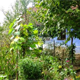 Predaj, rodinný dom Borský Mikuláš - EXKLUZÍVNE HALO REALITY