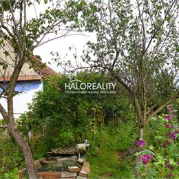 Predaj, rodinný dom Borský Mikuláš - EXKLUZÍVNE HALO REALITY
