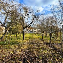 Predaj, rodinný dom Terany, s rozprávkovou záhradou - EXKLUZÍVNE HALO REALITY