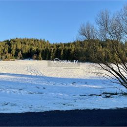 Predaj, pozemok 10200 m² Dolná Lehota - EXKLUZÍVNE HALO REALITY