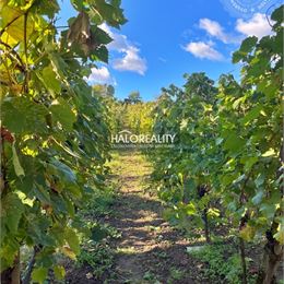 Predaj, záhradná chata Kozárovce