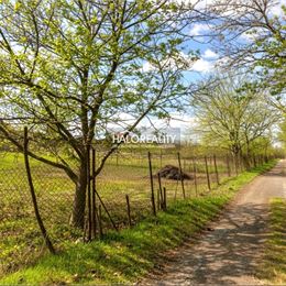 Predaj, záhradný pozemok 1652 m² Marcelová - EXKLUZÍVNE HALO REALITY