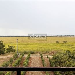 Predaj, chata Kamenný Most, s vinicou, vzdialená necelých 5 km od Štúrova - EXKLUZÍVNE HALO REALITY