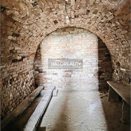 Predaj, chata Kamenný Most, s vinicou, vzdialená necelých 5 km od Štúrova - EXKLUZÍVNE HALO REALITY