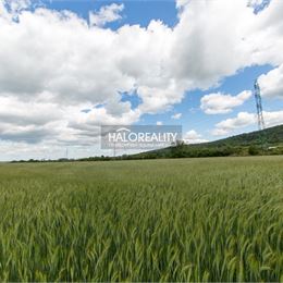 Predaj, záhradný pozemok 5755 m² Bratislava Lamač, pri Bory Mall, územie občianskej vybavenosti - ZNÍŽENÁ