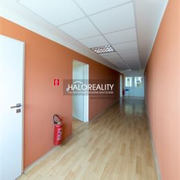 Predaj, administratívny priestor Kolíňany - EXKLUZÍVNE HALO REALITY
