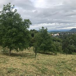 Stavebný pozemok v Sabinove